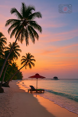 Digital Photo Art Wallpaper, Tropical Palm Trees on Beach with Sunset Sky