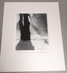 8×10 CHRIS HONEYSETT «YOSEMITE» PHOTOGRAPH SIGNED 1990 (needs re-matting)