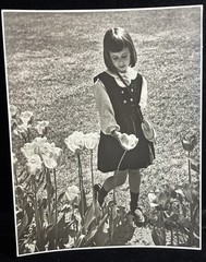 Stunning Vintage Photos And Prints By DR .R .R . La Pelle Philadelphia C. 1950.