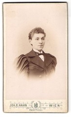 Photograph Joh. E. Hahn, Vienna, Mariahilferstr. 105, elegantly dressed lady with