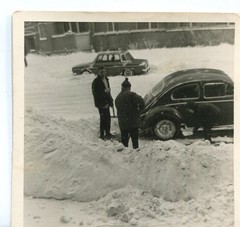 7 Vintage Photos Beetle Cars Circa 1950, 1960, 7x7cm