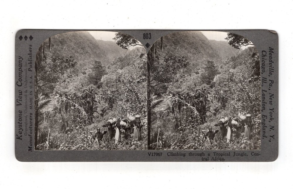 Photo Stereography Climbing Through Tropical Jungle in Central Africa