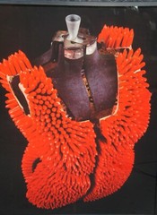 1993 Janet Biggs «Lipstick Dress» Cibachrome Triptych Photographs 108″
