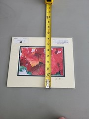 Photography Print By John T Slonina Matted 8×10 «Snow Leaves»-Read Description