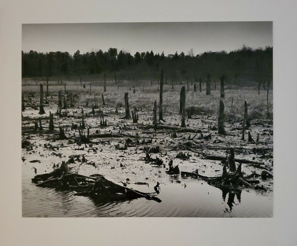 DESOLATE LARGE ORIGINAL SIGNED ART PHOTO B&W STETTNER VTG MATTE NJ CAMERA