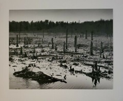DESOLATE LARGE ORIGINAL SIGNED ART PHOTO B&W STETTNER VTG MATTE NJ CAMERA