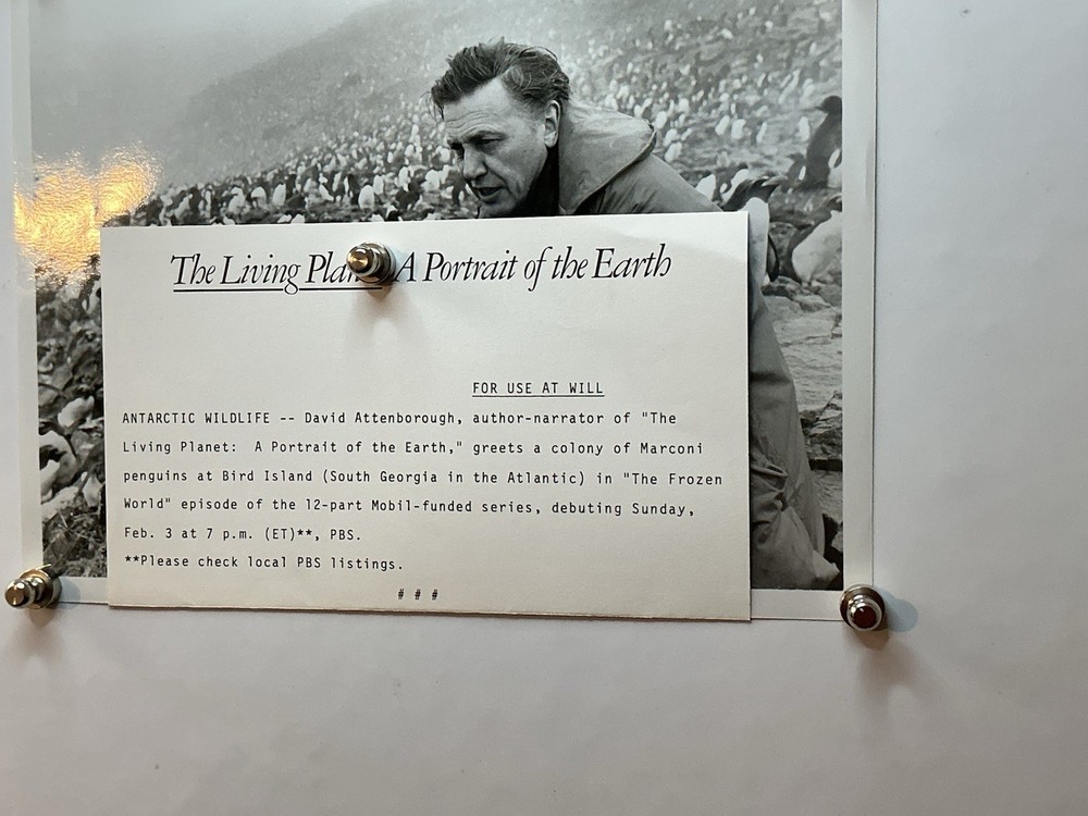 David Attenborough.Antarctic Wildlife Penguin Colony PBS Publicity Still