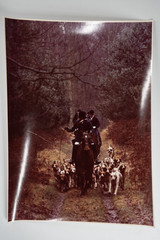 Vintage Analog Photo France Hunting With Hounds Horse Dog 18X24Cm 1970