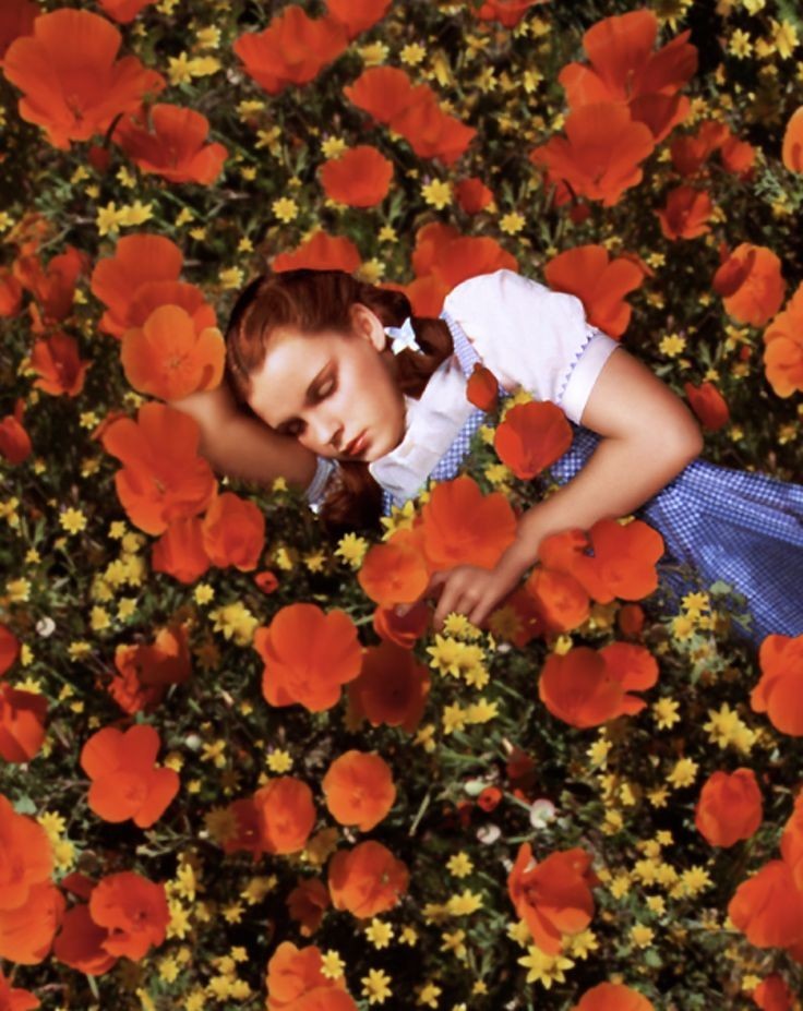 Wizard Of Oz Dorothy Poppies Photo Poster 13×19