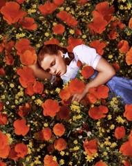 Wizard Of Oz Dorothy Poppies Photo Poster 13×19