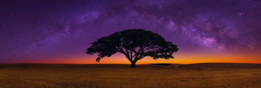 Peter Lik – Celestial Dreams 1.5m With Cigar Leaf Frame And 4 Seasons Bonus