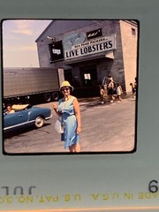 Kodachrome Lot Of 40 Mountains Vacation Artsy Vintage 35mm Photo Slides