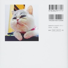 Warm, Cozy, and Relaxed Kittens Photobook Paperback 2018 from Japan