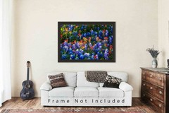Bluebonnets Photography Print Wildflower Picture Texas Photo Nature Decor