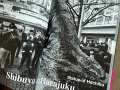 🎈Mega RARE SIGNED! Daido Moriyama – Tokyo, Japan, 2020, Guide, Araki