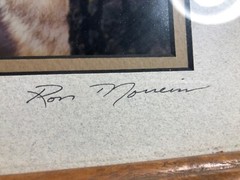 Framed photograph of Wolf by Ron Morreim 12″ x 14″