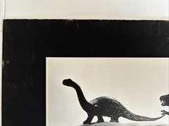 Allan I. Teger Bodyscapes Dinosaurs Photo Rare Limited Signed Numbered Framed