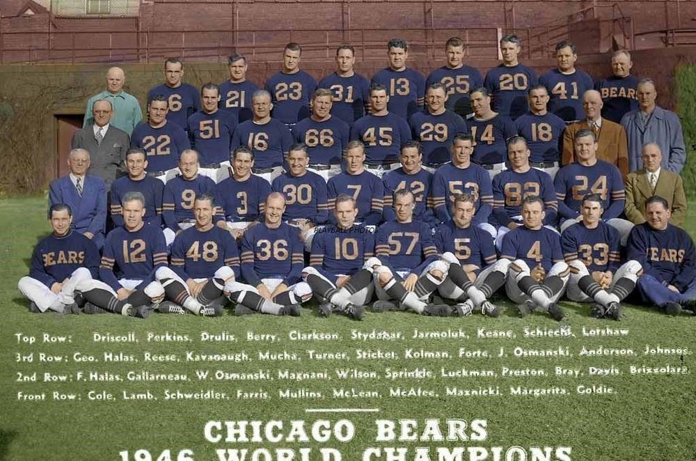 1946-bears 8×10 Colorized Print-FREE SHIPPING