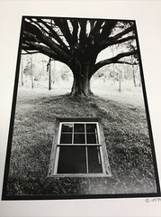 1970’s FINE PHOTOGRAPHY BY JOHN PHILIP DIELE PHOTO GRAPHICS