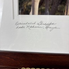 Framed Giraffe Photograph Signed Pat Benter Kenya Wildlife 16×13