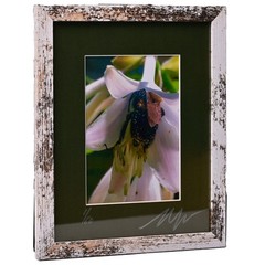 MICHAEL RAY Original Vintage Signed Long Island NY Floral Still Life Photograph