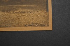Original 1910 Countryside Flock Sheep Painted Photo Stewart Publishing Co. N.Y..