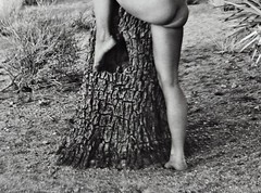 Andre De Dienes Nude Woman & Joshua Tree Photo Silver Gelatin Print 1960, COA