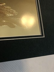 Gary Crane Photo.-Dancing Crane Studios”Great Grey In Flight” Photo Art Print