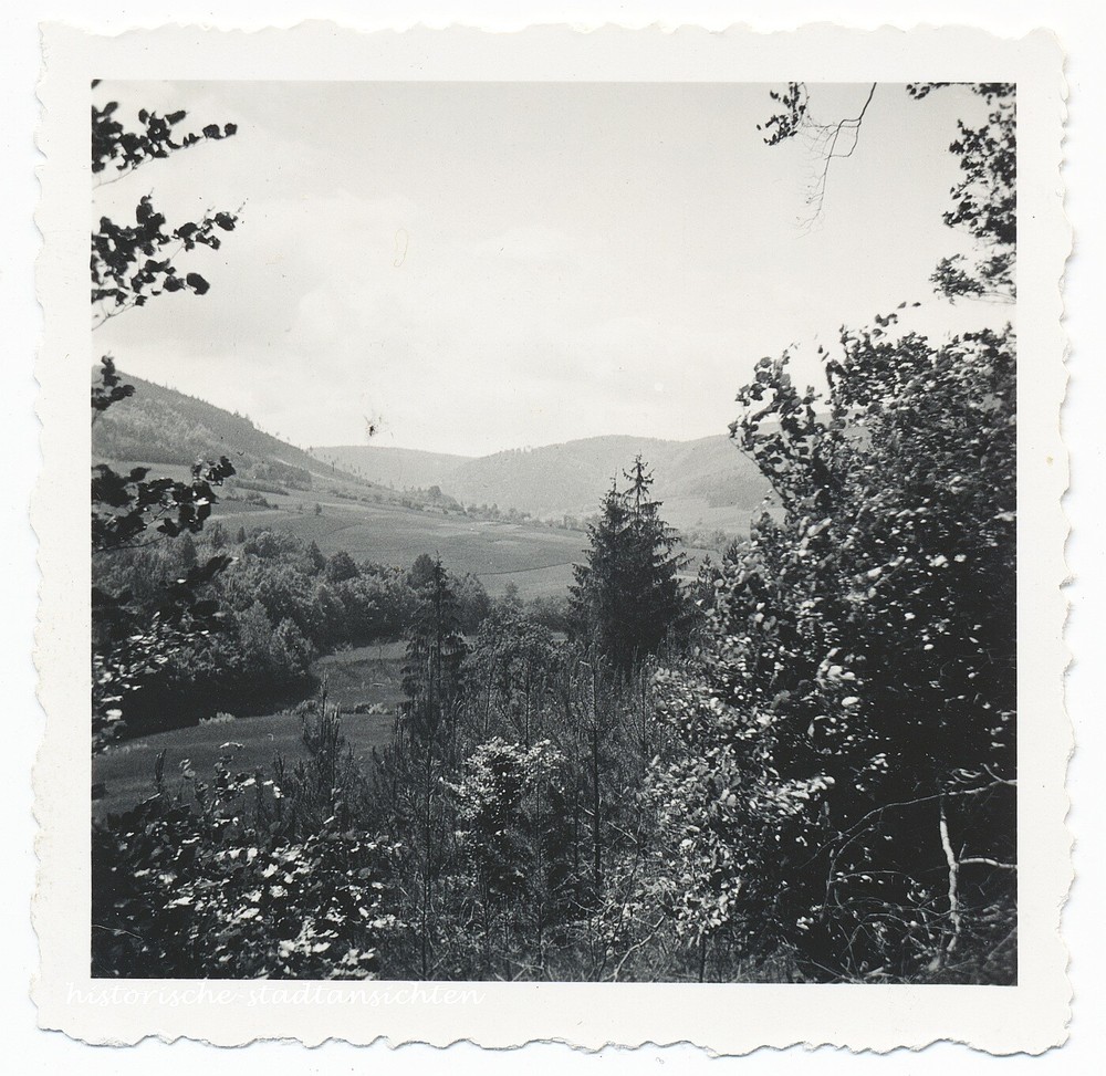 Bloom in the Odenwald – Nature Landscape Women – 3x Vintage Photo 1930s