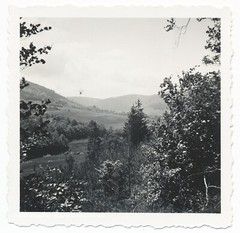 Bloom in the Odenwald – Nature Landscape Women – 3x Vintage Photo 1930s
