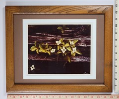 Vtg «Canadian Dogwood» 8×10 Photograph, Signed, Matted & Framed (13×16) LEE MANN