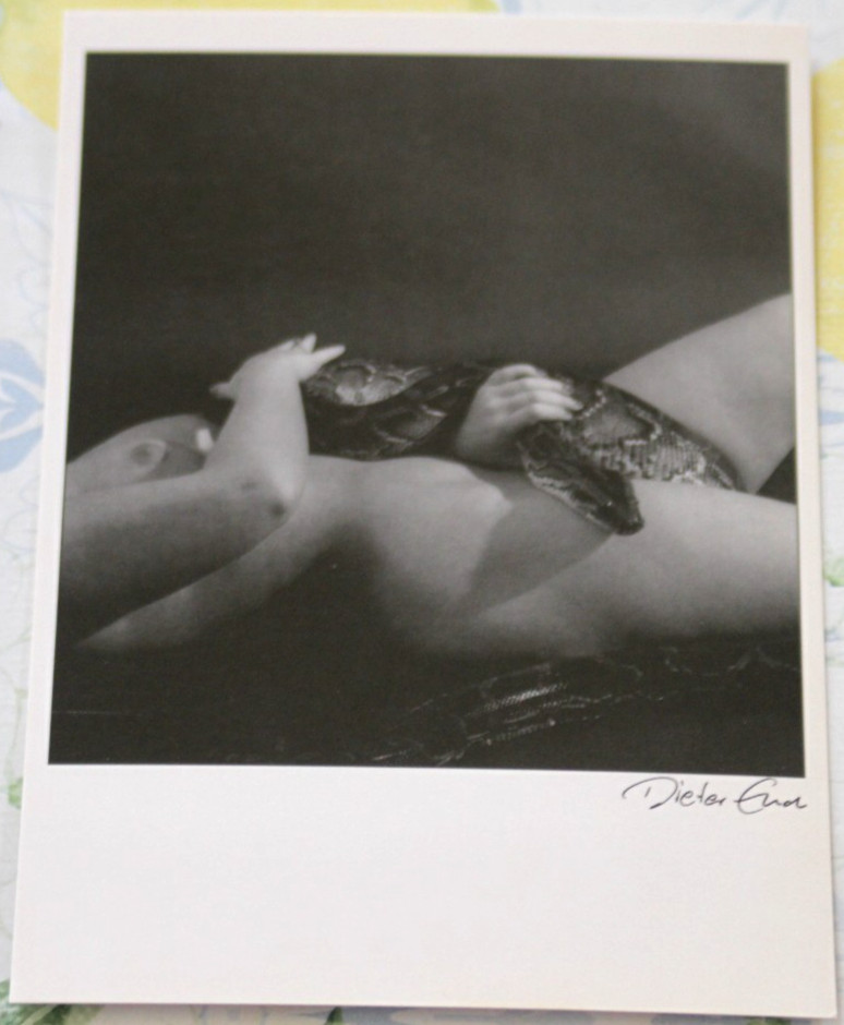 Photo postcard art nude python 4 nude dieter end photography snake woman girl AM