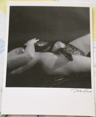 Photo postcard art nude python 4 nude dieter end photography snake woman girl AM