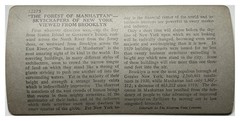 Tirage Original C1910 Stereo Vintage Photo From New York Lower Manhattan
