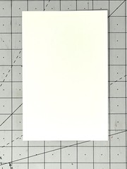 Edward Weston (1886-1953) Art Announcement Card 1995 PORTFOLIOS OF WITKIN-BERLEY