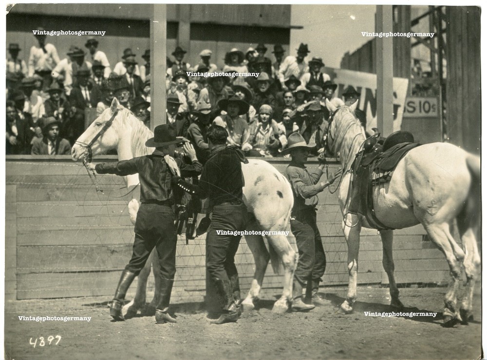G161 Foto Amerika Rodeo Wilder Westen Cowboys USA Gauchos Pferde