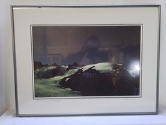 «Mt. Olympus in Moonlight» Framed Landscape Photograph by Gary Carlson