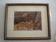 Thomas Mangelsen «Mother’s Love Mountain Lions» Out of Print, Original Signed