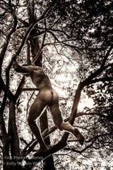 Original Male Nude KELLY WILLIAM WRIGHT Song Of The Trees #23 Stamped Photo 9×13