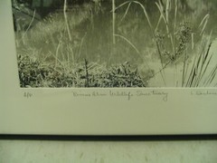 ART Photography «Bueno Arm Wildlife Sanctuary» Lake- L. Santucci Frames 16x13in