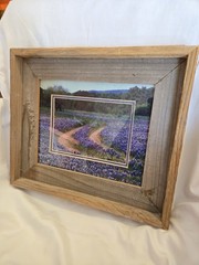 DAN RICHARDS Texas Hill County Blue Bonnet Flower Framed Matted Photograph Cedar