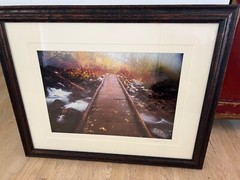 Shane Knight Signed & Numbered Photograph