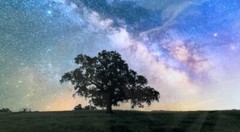 Milky Way Galaxy, 21×16”