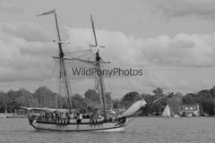 Tall Ships from Sultana Downrigging Festival, Pick One Image – Various Sizes