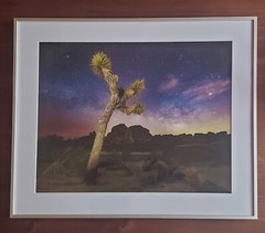 16×20″ Fine Art Photograph of Joshua Tree & Milky Way Sky Signed & Framed 20×24″