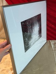 DAVID H GIBSON Photography Signed NOVEMBER MORNING CYPRESS CREEK + Message 1992