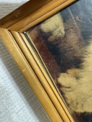 Vtg. Lambert Photo Frame- W/Calico Kittens Magazine 8 X 10 Photo Art Print