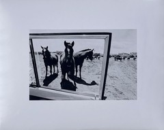 Wolf Von Dem Bussche – From The Peaceable Kingdom c.1971 (LHi01)