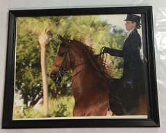 Cheri Prill Horse and Rider Framed Photography 11.5″ x 9″