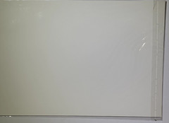 Polar Bears Sparring Photograph Print, signed, sealed in plastic 13″ x 19″
